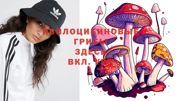 бошки Алексеевка