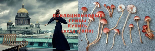 мет Алзамай