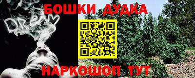МДПВ Пенза