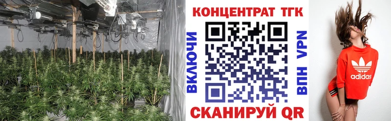 ТГК вейп  Сунжа 