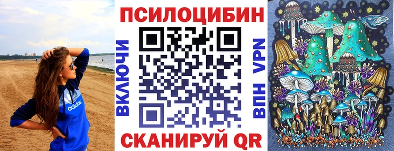 хочу наркоту  Сунжа  сайты даркнета состав  Галлюциногенные грибы мухоморы 