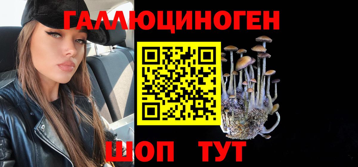 Псилоцибиновые грибы ЛСД  Вход с VPN  Сунжа  Галлюциногенные грибы MAGIC MUSHROOMS 