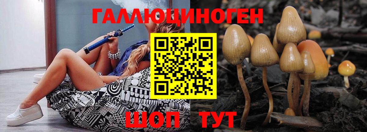 Псилоцибиновые грибы GOLDEN TEACHER Сунжа